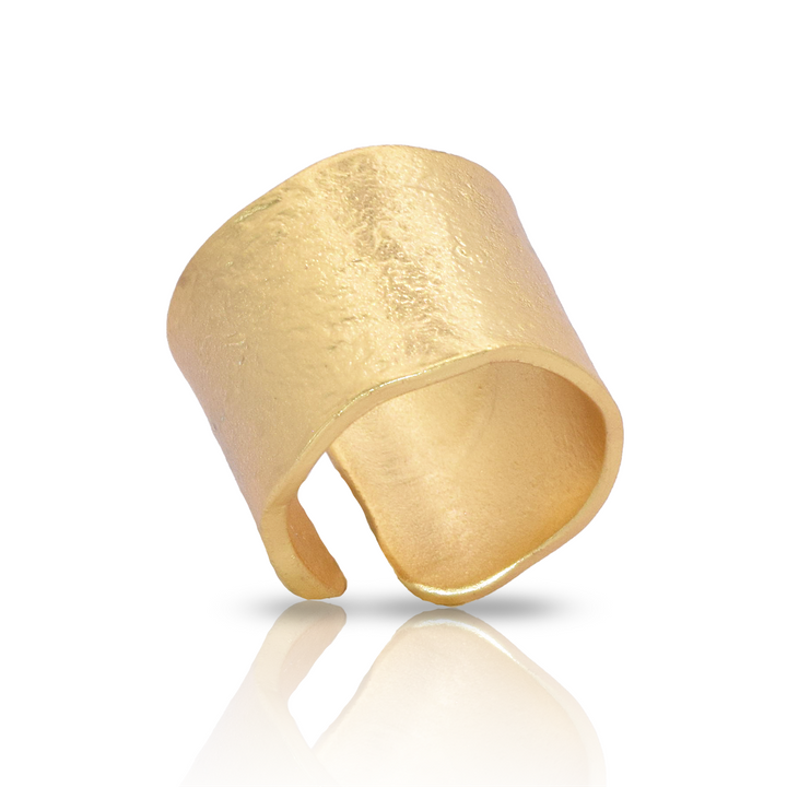 Polished cigar band ring - Karine Sultan