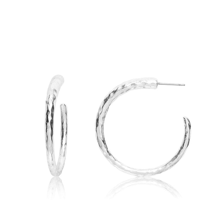 Everyday Hoop Earrings - Karine Sultan
