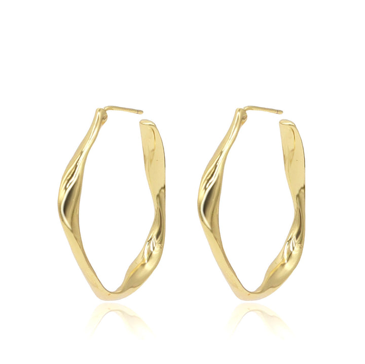 Twisted Hoops Earrings
