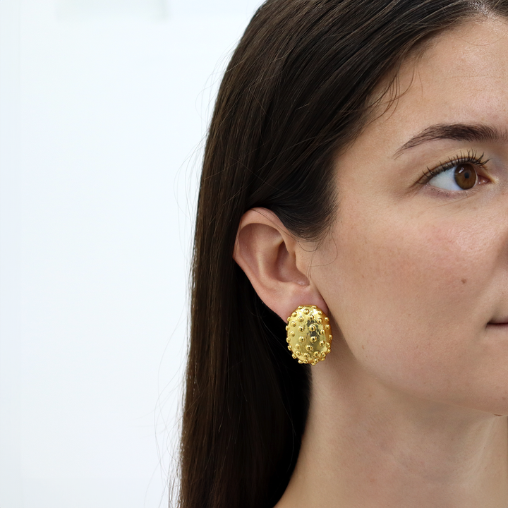 Ladybug Clip-On Earrings