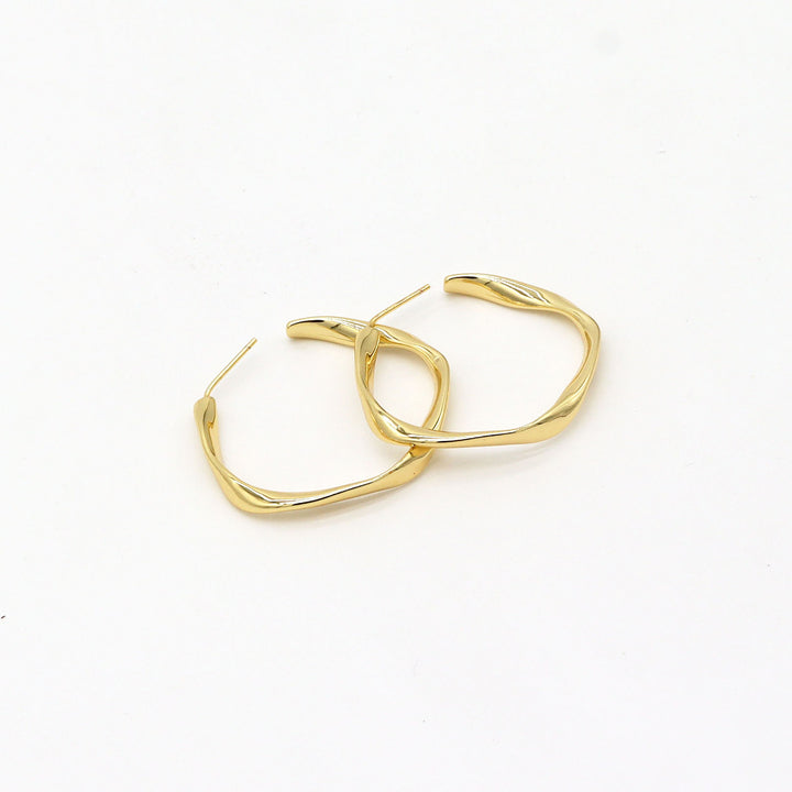 Twisted Hoops Earrings