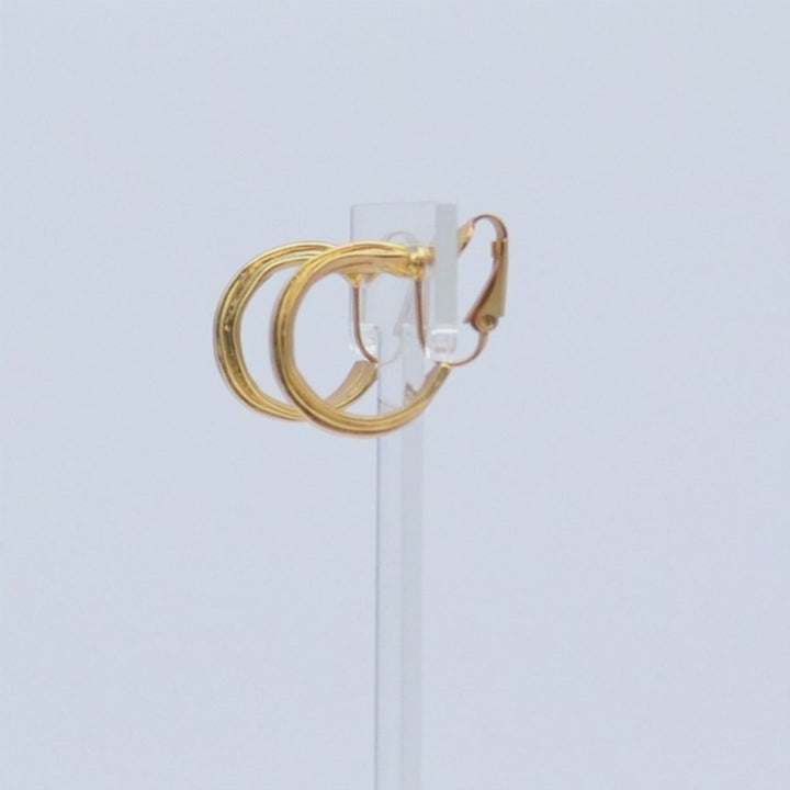 Small Hoop Clip Earrings