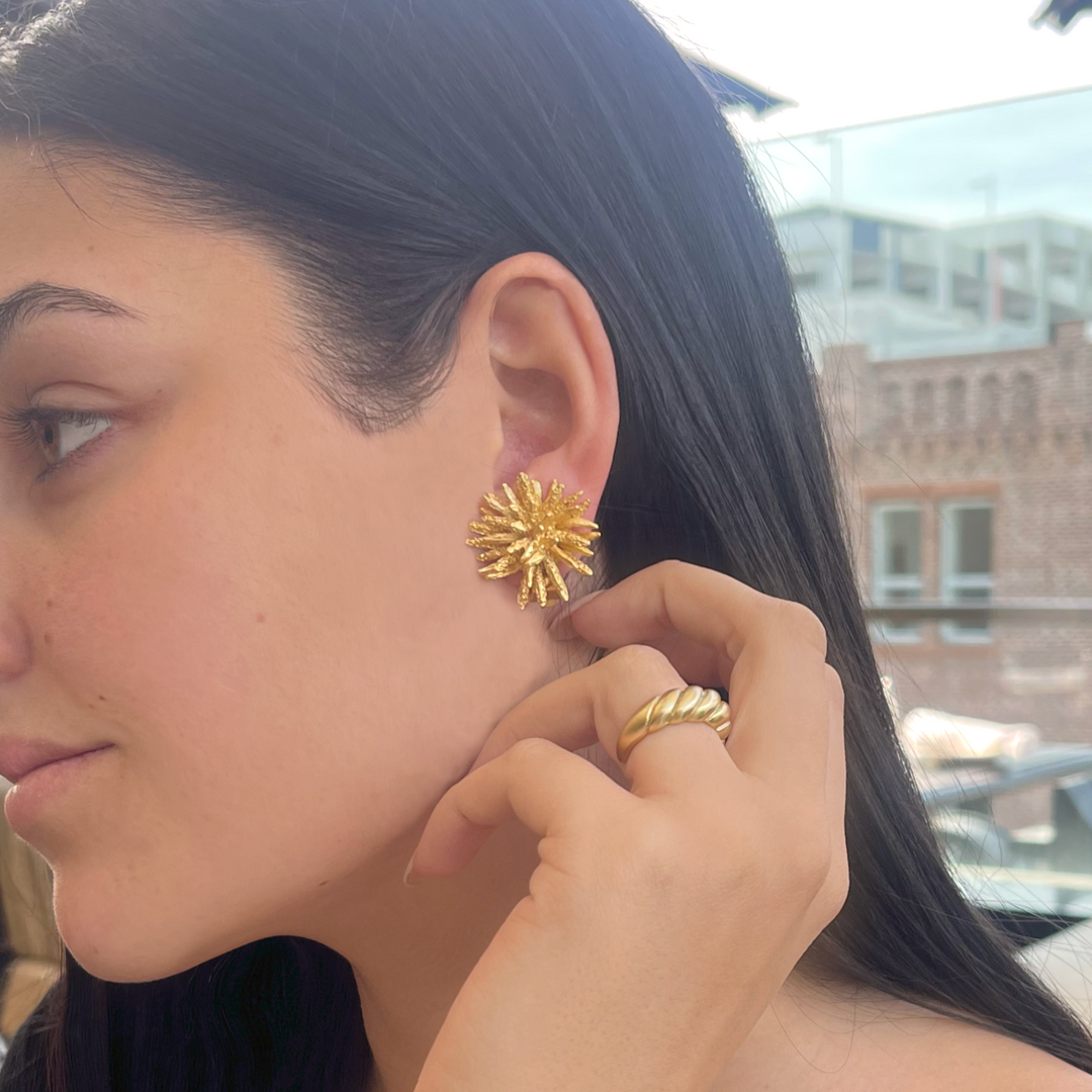 Starburst earrings - Karine Sultan